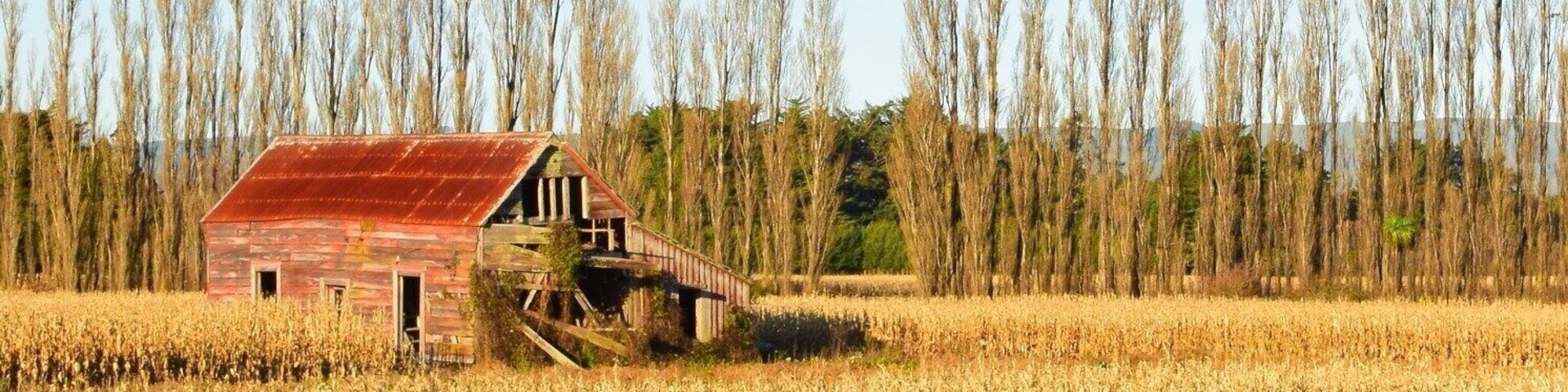 Was just traveling past this old shed and needed to take a shot of it.