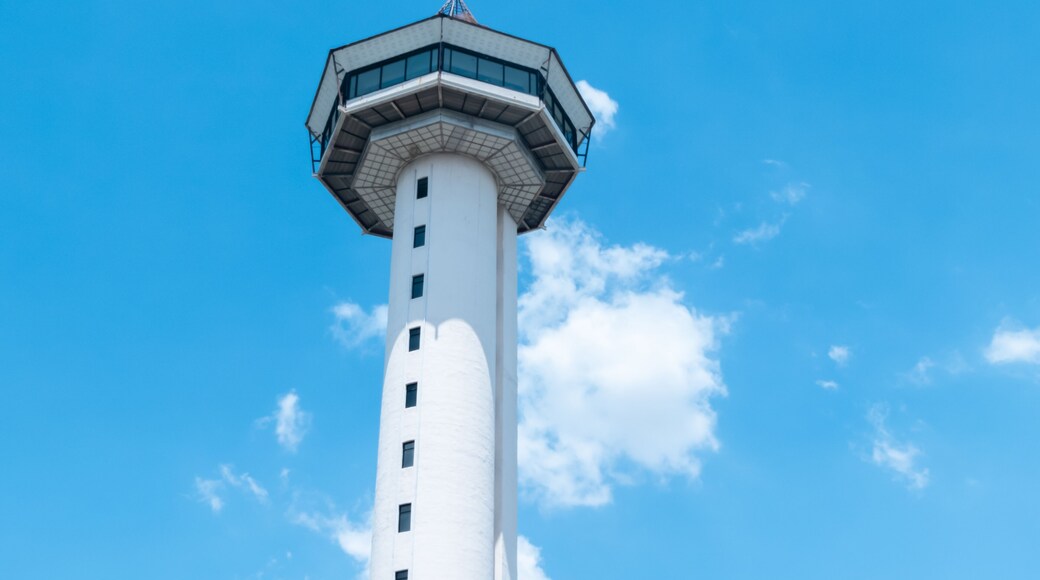 สนามบินออกแลนด์