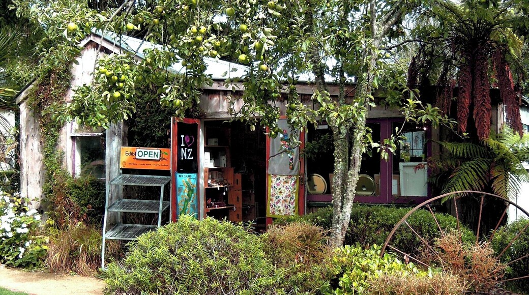 Nice little cafe with store. Awesome pizzas on a Friday night.