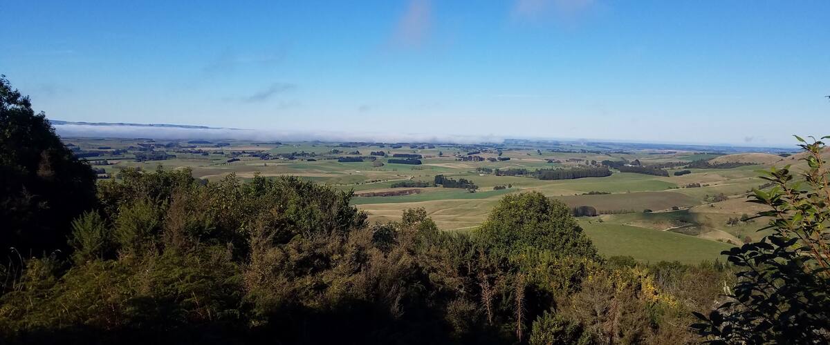 A panoramic view of a hilly landscape with a clear blue sky, dense forest in the foreground, and rolling green fields in the distance.