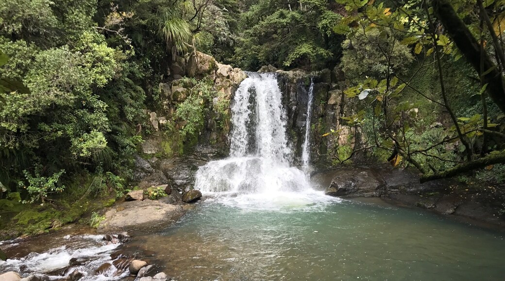 Nice little pit spot - 3 minute walk in too!!