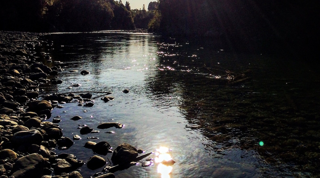 Tararua Forest Park is one more natural beauty of New Zealand and short walks around Otaki Forks are definitiely perfect idea for a #weekendgetaway.