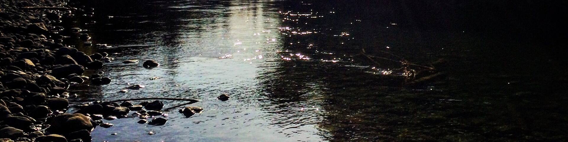 Tararua Forest Park is one more natural beauty of New Zealand and short walks around Otaki Forks are definitiely perfect idea for a #weekendgetaway.