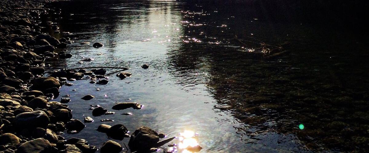 A river with sunlight reflecting on the water, surrounded by rocks and trees, with a bridge in the background.