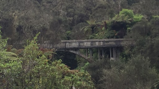 The Bridge-to-Somewhere. One of 3 sister bridges (the Bridge-to-Nowhere and the Bridge-to-Elsewhere being the other 2). It's a detour off the Forgotten World Highway. When we did it, the road had been washed out 2 months previously so take your time driving to it.
