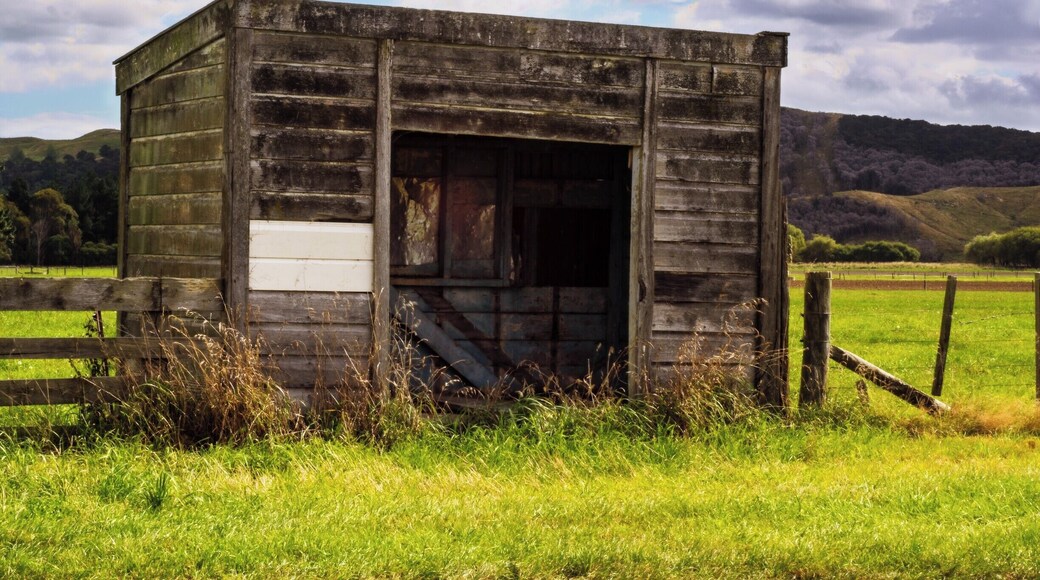 Just doing a drive around the area and found this old bus shed.