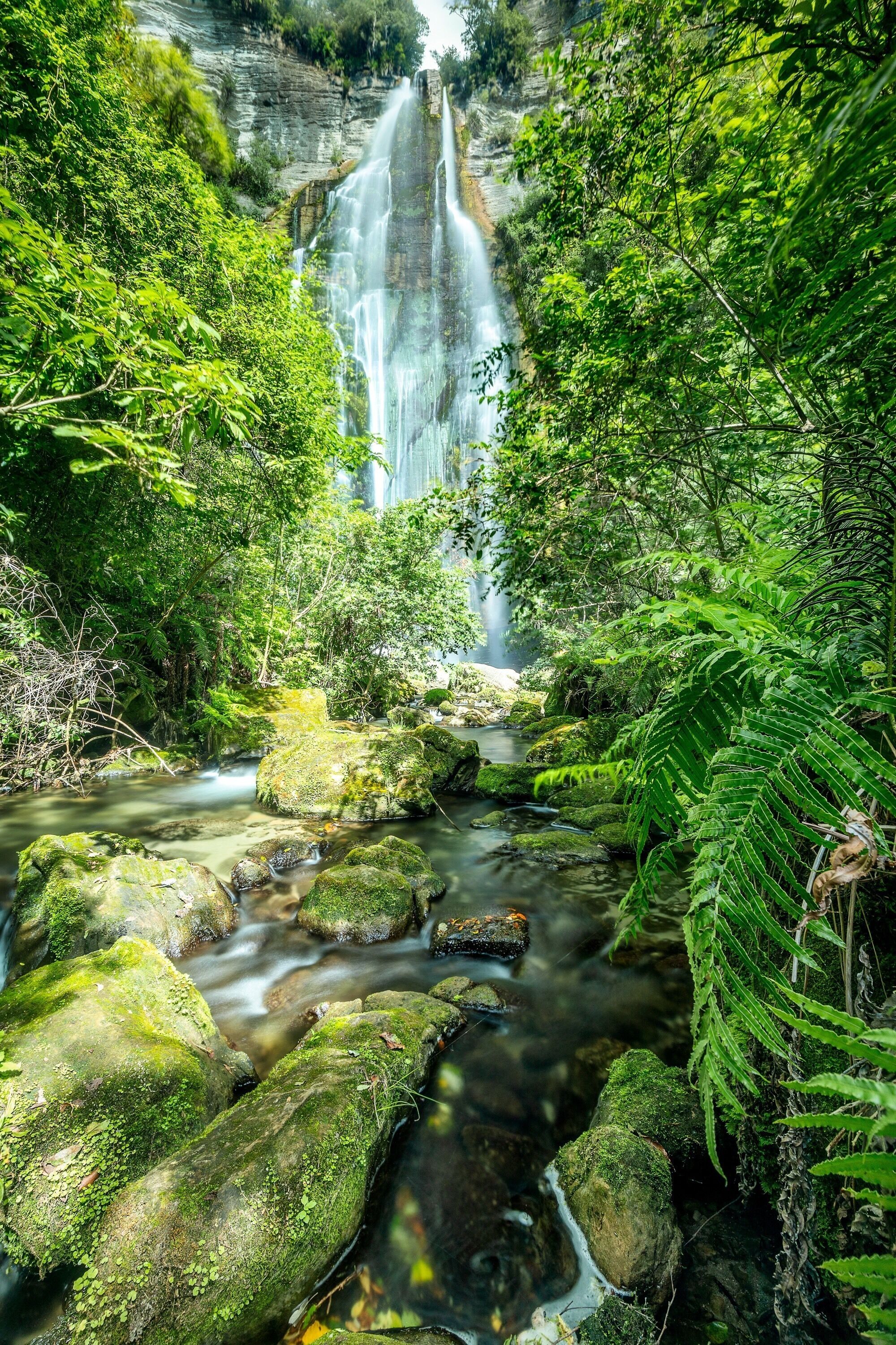A waterfall surrounded by lush greenery and moss-covered rocks.