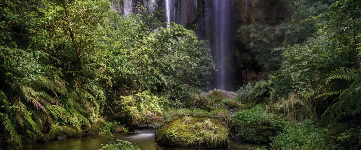 We went for a walk up to one of the hidden treasures of Hawke's Bay on the weekend: Shine Falls.
These 58m high falls are about an hours drive north of Napier, and then a further 1/2 hour walk up a good track with stunning views and cliffs on the way.
