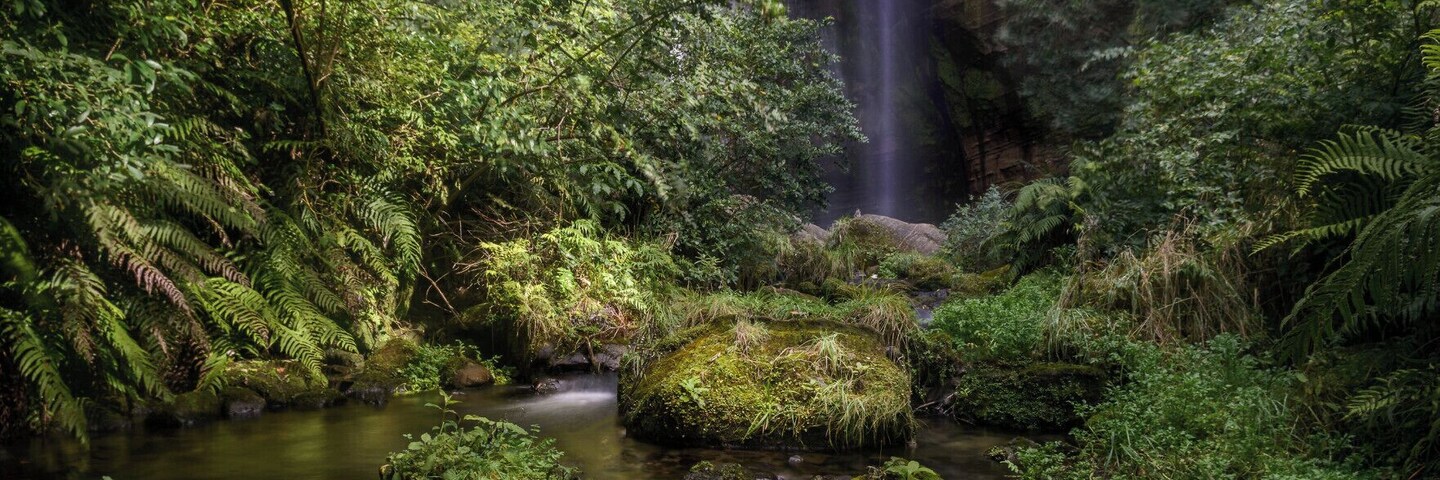 We went for a walk up to one of the hidden treasures of Hawke's Bay on the weekend: Shine Falls.
These 58m high falls are about an hours drive north of Napier, and then a further 1/2 hour walk up a good track with stunning views and cliffs on the way.