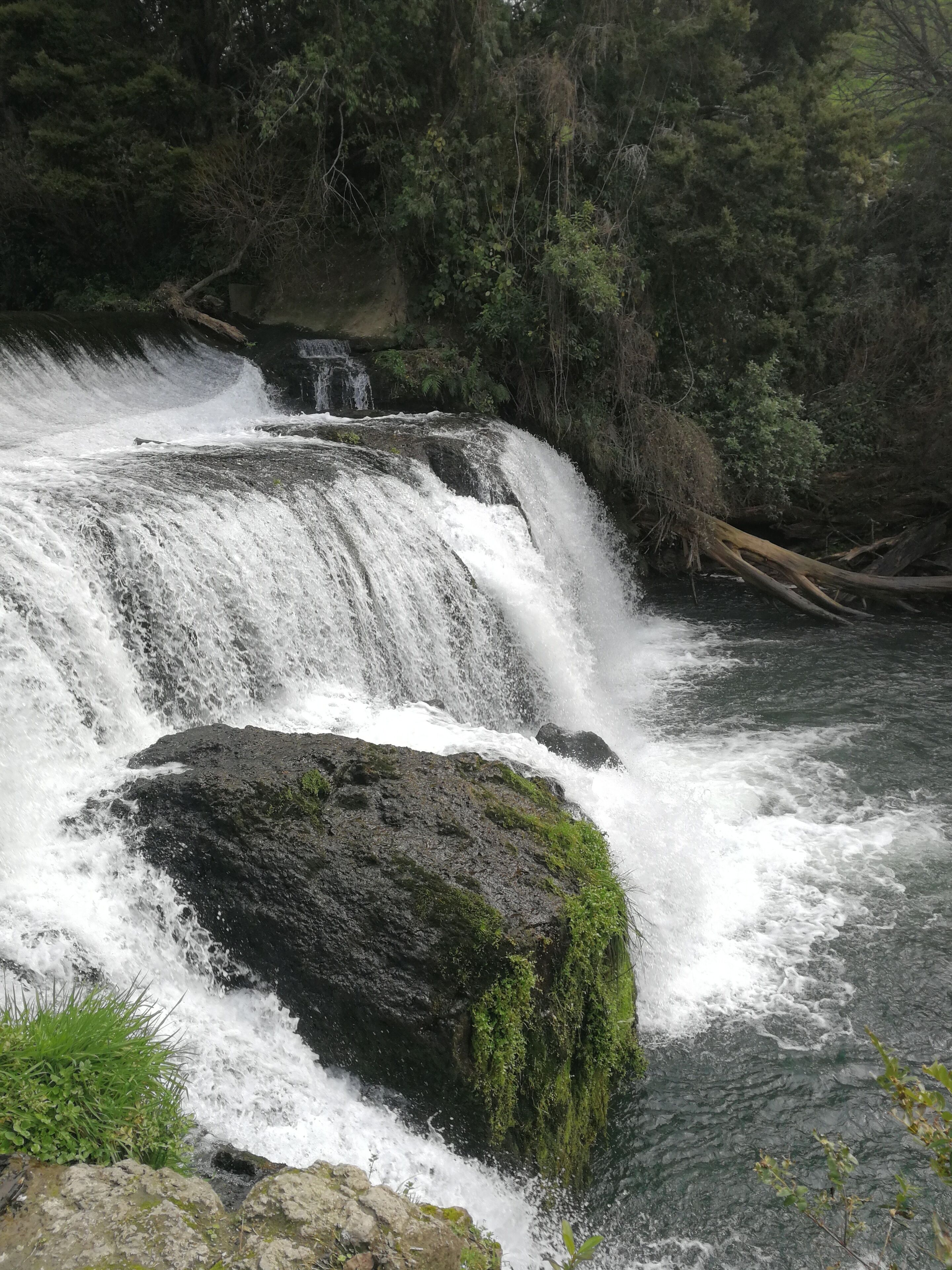 A waterfall cascading over rocks in a forested area.