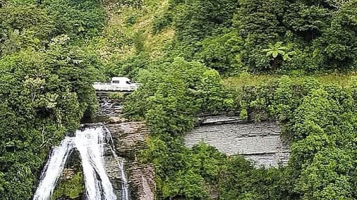 Rainforest route on a dirt road