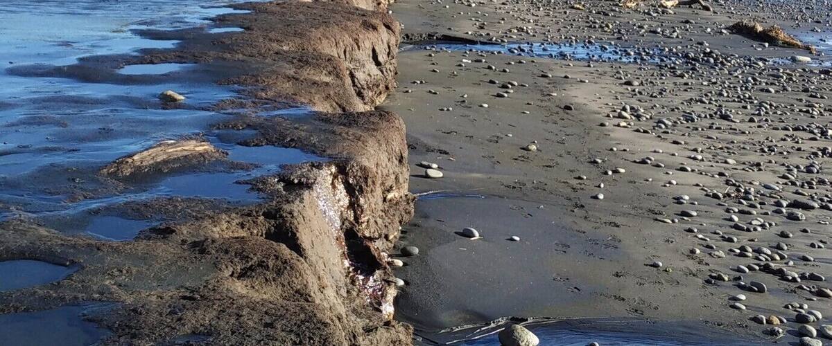 A rocky shoreline with a cliff in the background.