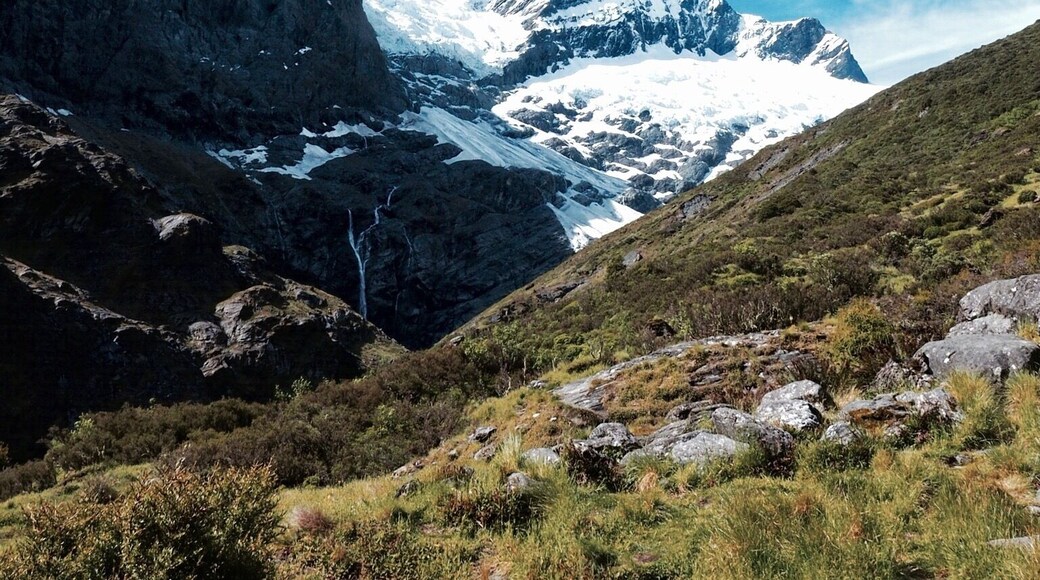 Rob Roy's Glacier was an impromptu 10km hike in NZ's South Island that we enjoyably completed with our 3 children.
I mention that to provide some insight into the level of fitness needed. That being said, my children are active and fairly savvy hikers, so one should still be prepared for a rocky, and at times muddy path. Slippery in some sections, and an extremely varied landscape which changes dramatically whilst passing through the different sections of the track.
The finale is this view of Rob Roy's Glacier. This was my favourite walk completed in NZ. It's truly spectacular.