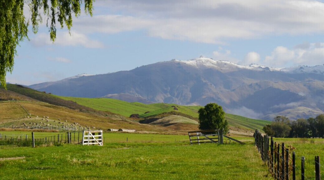 A New Zealand farm with rolling hills and beautiful snow-topped mountains. Quiet and tranquil with no-one for miles (except for the odd 100 sheep). #green