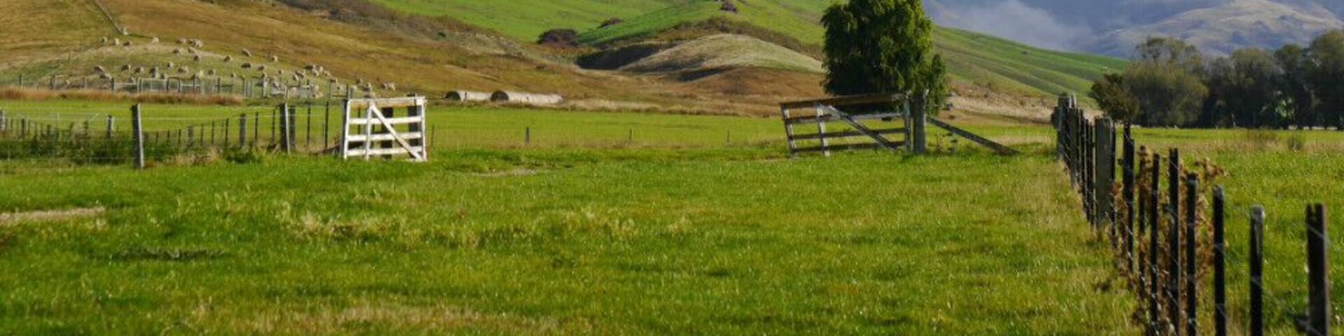 A New Zealand farm with rolling hills and beautiful snow-topped mountains. Quiet and tranquil with no-one for miles (except for the odd 100 sheep). #green