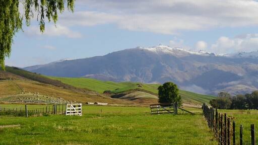 A New Zealand farm with rolling hills and beautiful snow-topped mountains. Quiet and tranquil with no-one for miles (except for the odd 100 sheep). #green