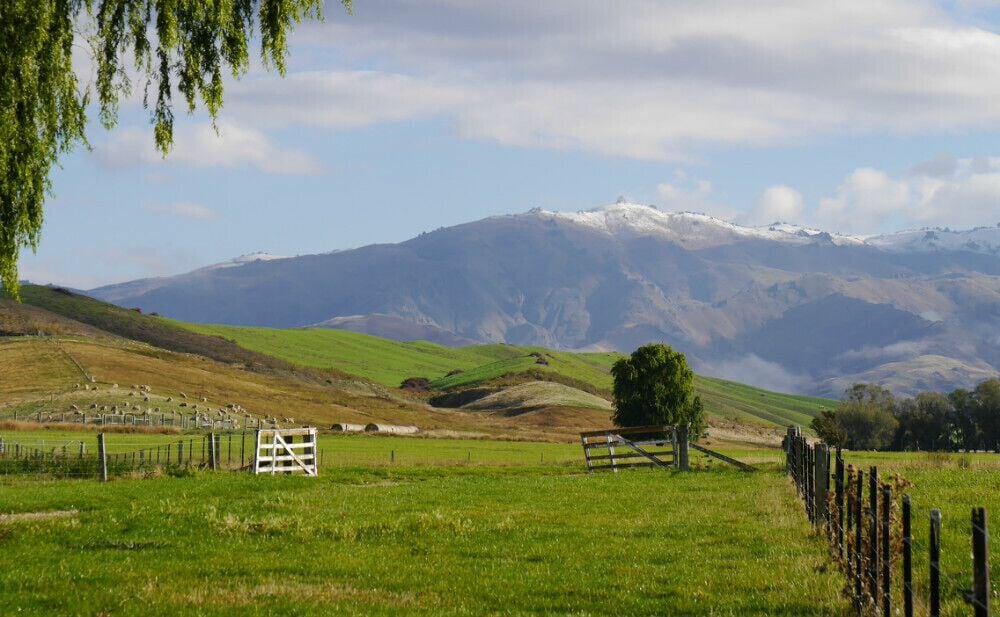 A grassy field with a fence, a tree, and a mountain range in the background.