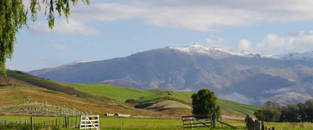A grassy field with a fence, a tree, and a mountain range in the background.