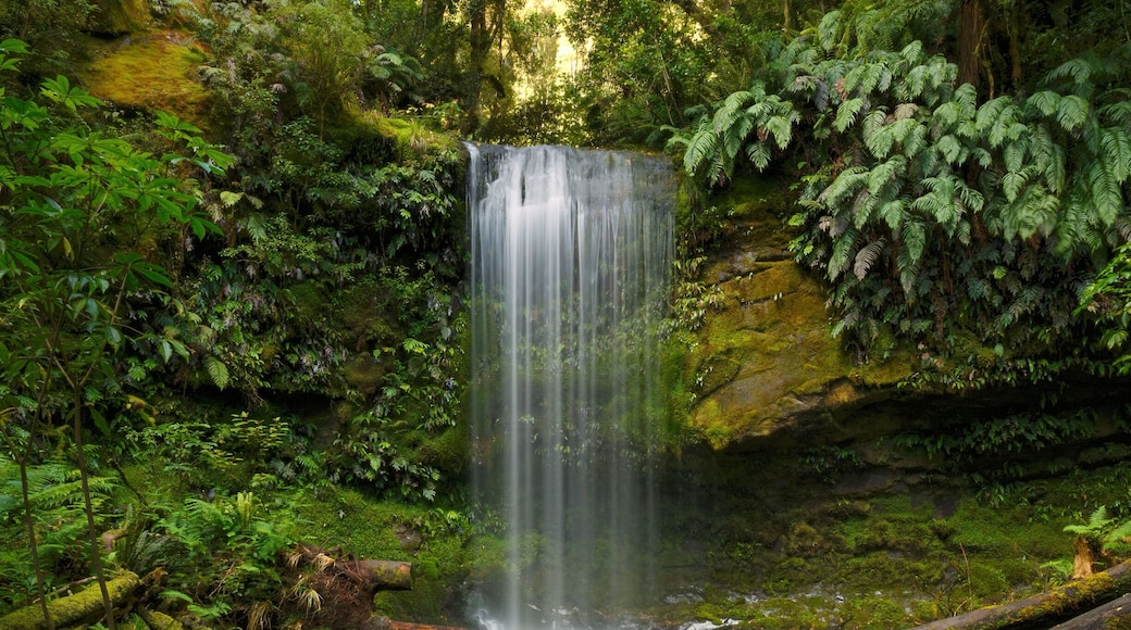 Koropuku Falls is located in the western part of Catlins Conservation Park along the scenic Chaslands Highway. The track leading to the falls begins from the roadside and you wouldn't know it was there unless you were looking for it as its entrance is somewhat hidden among the trees. From the moment you step onto the track you're transported into another world. The track leads you through the lush green rainforest, following a tranquil stream and passing moss covered trees along the way until you reach an opening where this magical scene appears in front of you. Take me back! #hiking