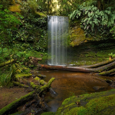 Koropuku Falls is located in the western part of Catlins Conservation Park along the scenic Chaslands Highway.  The track leading to the falls begins from the roadside and you wouldn't know it was there unless you were looking for it as its entrance is somewhat hidden among the trees.   From the moment you step onto the track you're transported into another world.  The track leads you through the lush green rainforest, following a tranquil stream and passing moss covered trees along the way until you reach an opening where this magical scene appears in front of you. Take me back! #hiking