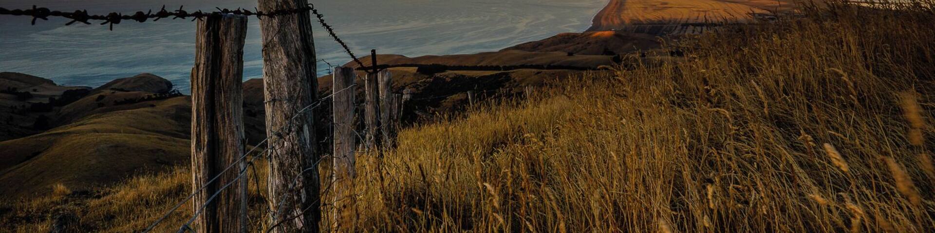 “#goldenhour”
Almost completely isolated. At the end of a dirt road above Birdlings Flat.
Have a great coffee and food at Little River Cafe on the way home.