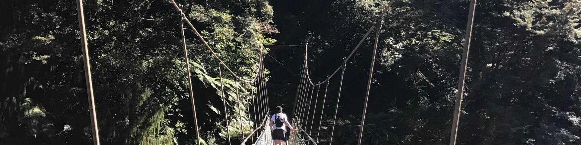 Want to get up close to nature? Then hike the Charming Creek walkway in Seddonville, New Zealand. This track follows the old mining train track through some of NZs wildest bush. #newzealand #westcoast #westport #takeahike #buller #charmingcreek