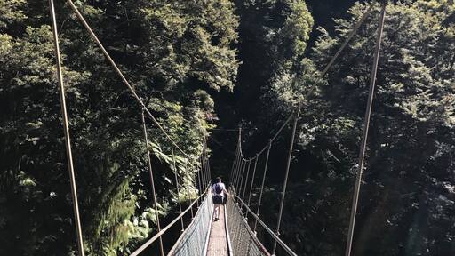 Want to get up close to nature? Then hike the Charming Creek walkway in Seddonville, New Zealand. This track follows the old mining train track through some of NZs wildest bush. #newzealand #westcoast #westport #takeahike #buller #charmingcreek
