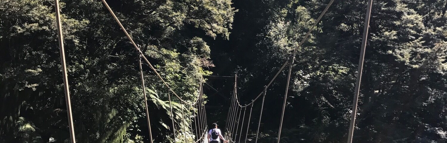 Want to get up close to nature? Then hike the Charming Creek walkway in Seddonville, New Zealand. This track follows the old mining train track through some of NZs wildest bush. #newzealand #westcoast #westport #takeahike #buller #charmingcreek