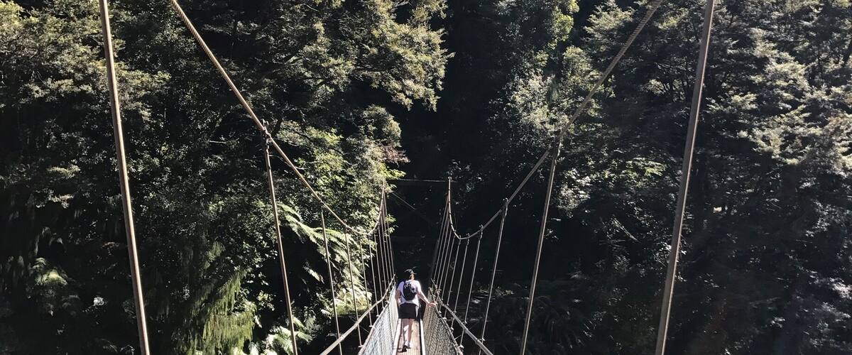 A suspension bridge surrounded by dense forest.
