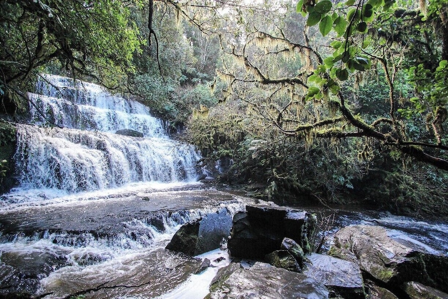 The Purakaunui Falls are one of the most beautiful waterfalls in New Zealand outside the mountains. Down in the Catlins it's off a gravel road past Papatowai. It's a bit hard to find online or concretely on a map, but there are yellow street signs everywhere pointing you there, so just follow the yellow signs and you'll get there, then its a quick 20 minute walk down to the falls