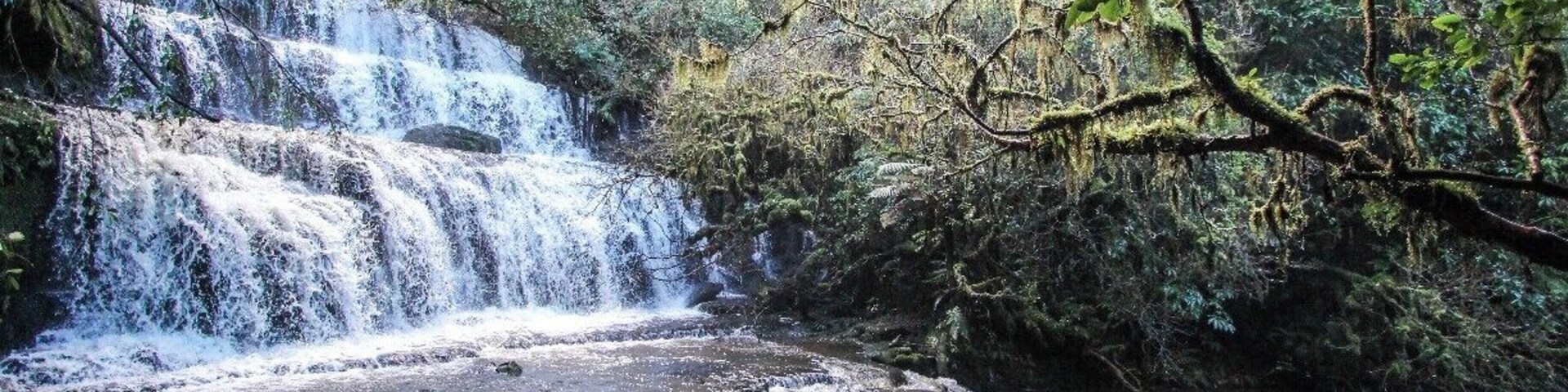 The Purakaunui Falls are one of the most beautiful waterfalls in New Zealand outside the mountains. Down in the Catlins it's off a gravel road past Papatowai. It's a bit hard to find online or concretely on a map, but there are yellow street signs everywhere pointing you there, so just follow the yellow signs and you'll get there, then its a quick 20 minute walk down to the falls