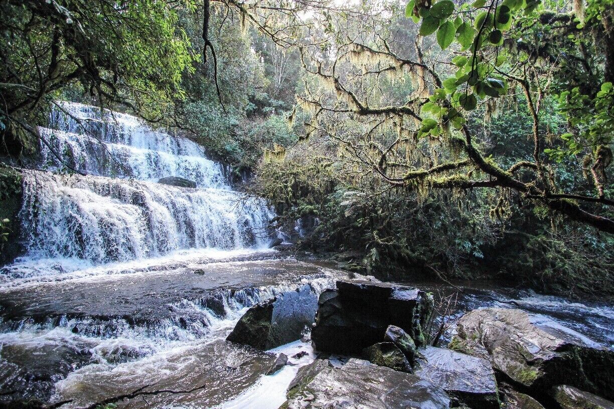 A multi-tiered waterfall surrounded by dense forest.