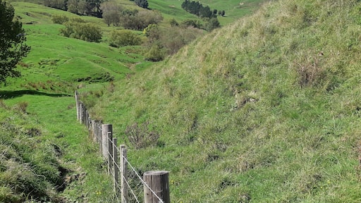 farm tours with Real New Zealand Adventures