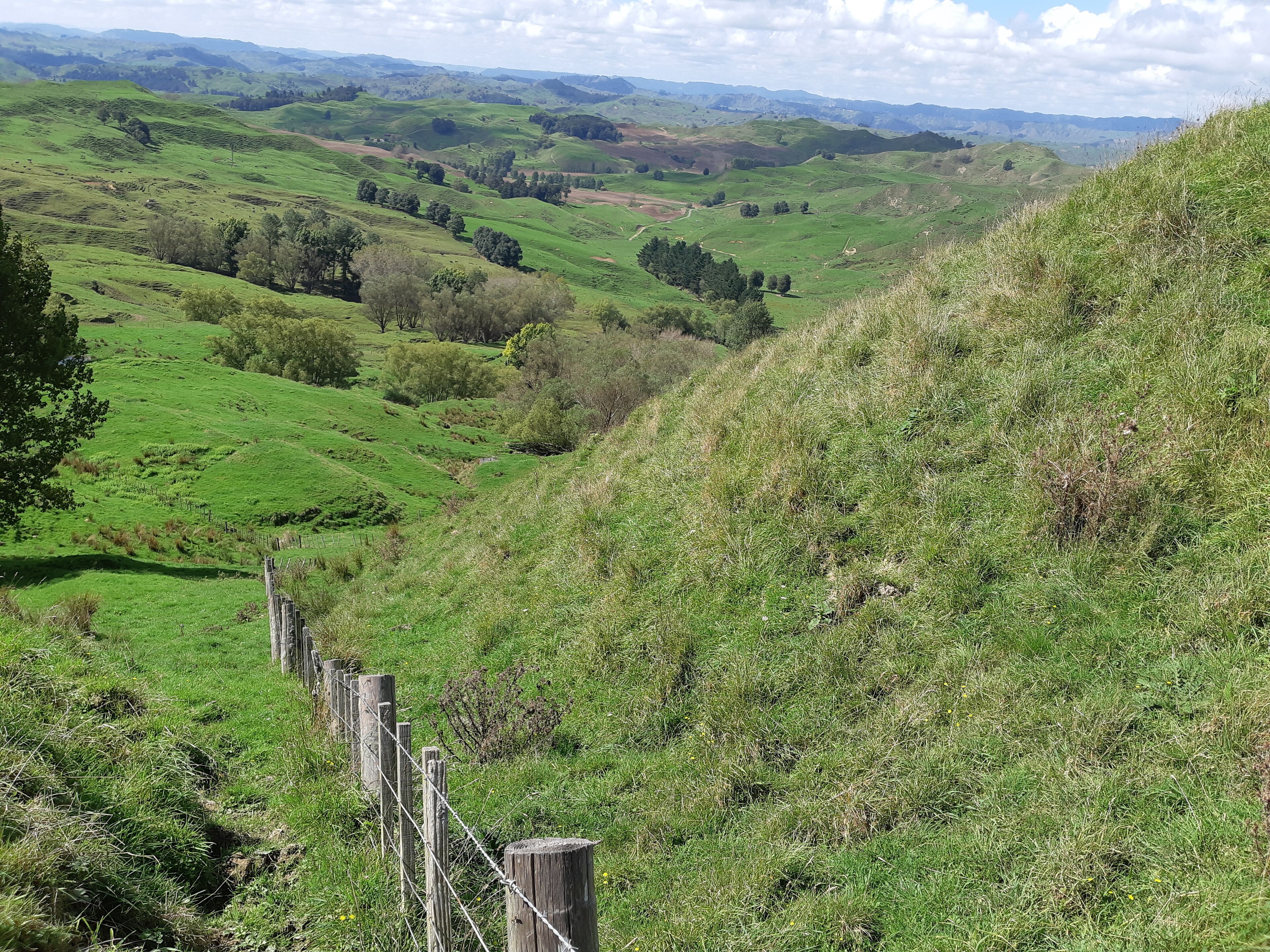Rolling green hills, a wooden fence, and distant mountains.