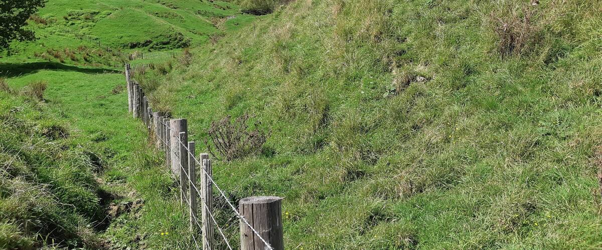 Rolling green hills, a wooden fence, and distant mountains.