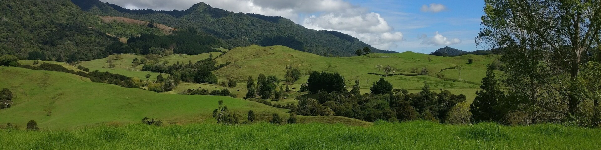 Beautiful New Zealand - In the middle of nowhere
#OrbitzTravel