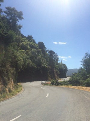A wonderful drive from havelock to Picton, take it slow and enjoy the views