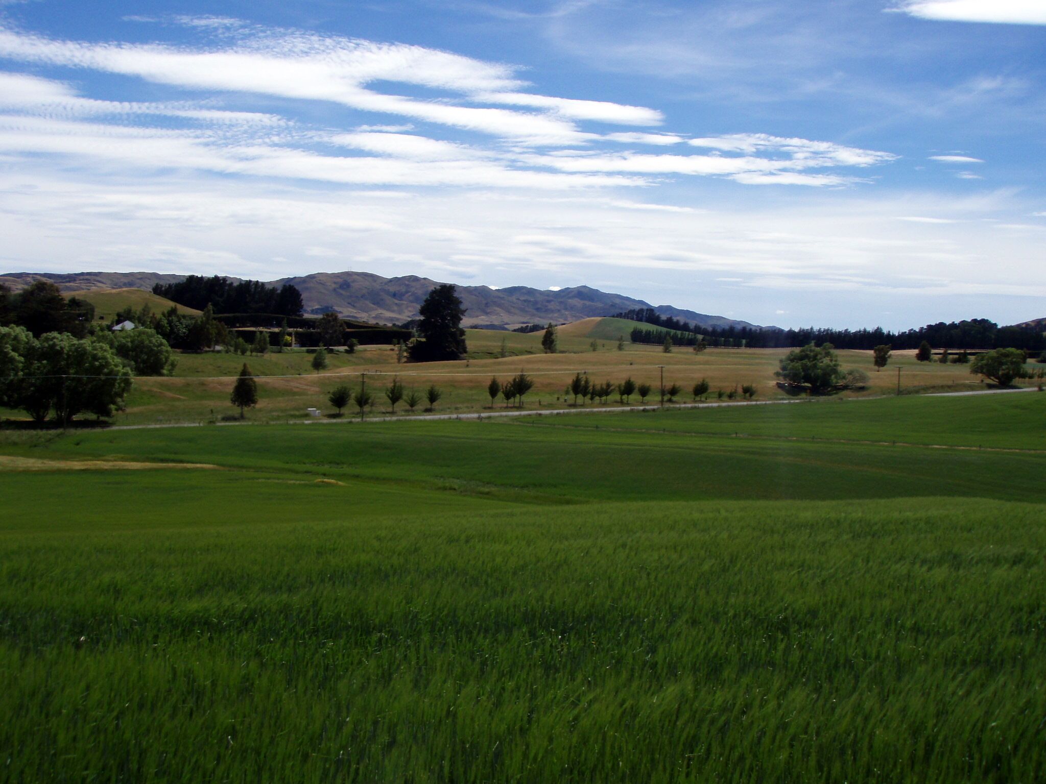 Book a ticket on a vintage steam train with Weka Pass Railways and travel through the Canterbury Plains in style.