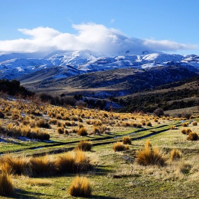 This photo was taken near Bendigo. This is also where we got stuck in the middle of nowhere as we didn't turn off the ignition. We drained our battery. It's an automatic van. Great.
Thank goodness for a friendly french traveller who jump-started our van for us. He is now happy about the bottle of Cooper's (beer) we gave him.
But...there are really worse places to be stuck in, right!?
#alifefullofserendipity #serendipitytess #travel #travelling #travelblogger #nomad #globetrotter #rtw #wanderlust #photooftheday #adventure #travelphotography #photo #newzealand #southisland
#NZmustdo #nature #landscape #lp #travelstoke #naturephotography #nature_perfection #newzealandfinds #natureza #natureporn