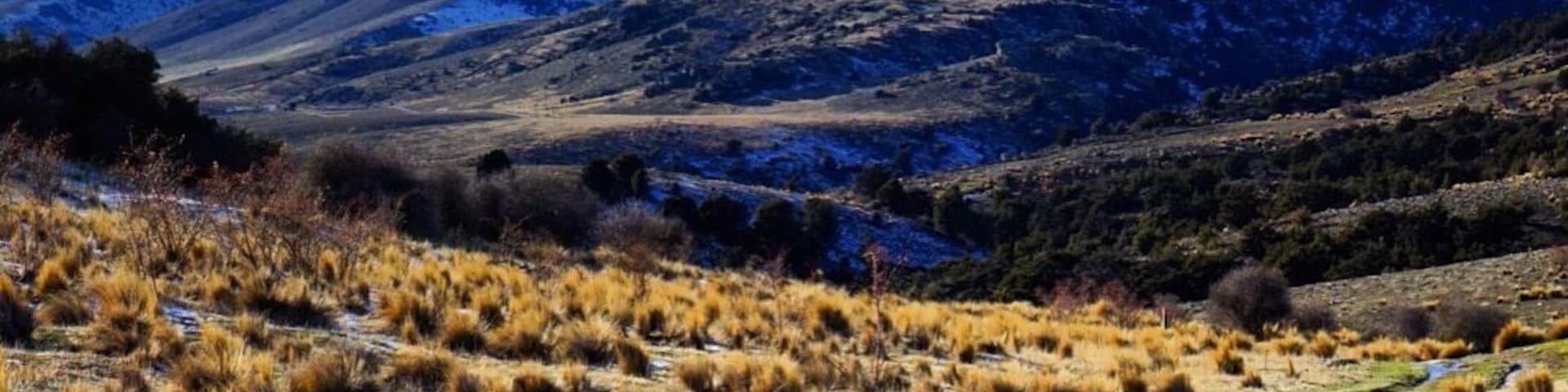 This photo was taken near Bendigo. This is also where we got stuck in the middle of nowhere as we didn't turn off the ignition. We drained our battery. It's an automatic van. Great.
Thank goodness for a friendly french traveller who jump-started our van for us. He is now happy about the bottle of Cooper's (beer) we gave him.
But...there are really worse places to be stuck in, right!?
#alifefullofserendipity #serendipitytess #travel #travelling #travelblogger #nomad #globetrotter #rtw #wanderlust #photooftheday #adventure #travelphotography #photo #newzealand #southisland
#NZmustdo #nature #landscape #lp #travelstoke #naturephotography #nature_perfection #newzealandfinds #natureza #natureporn