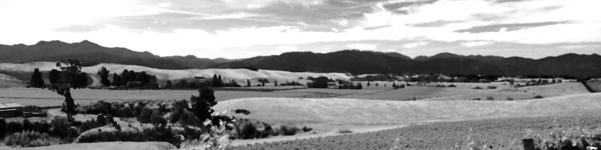 Auntsfield  vineyard. Oldest winery in Marlborough. Award wining Sauvignon blanc plus loads of history. You need to book a time to visit and enjoy the beauty