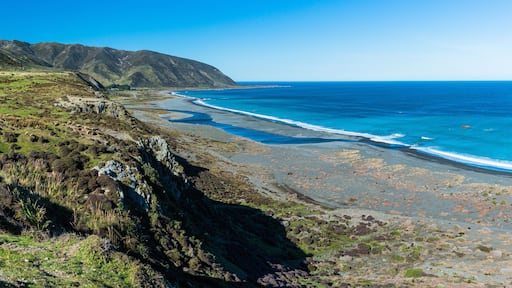 ニュージーランド 首都ウェリントンの近郊のワイヌイオマタのイースト・ハーバー・リージョナル・パークの丘から見えるビーチとクック海峡