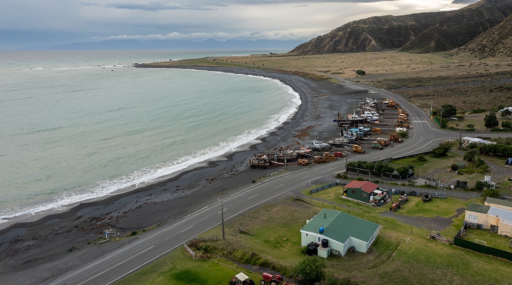 Wainuiomata Coast