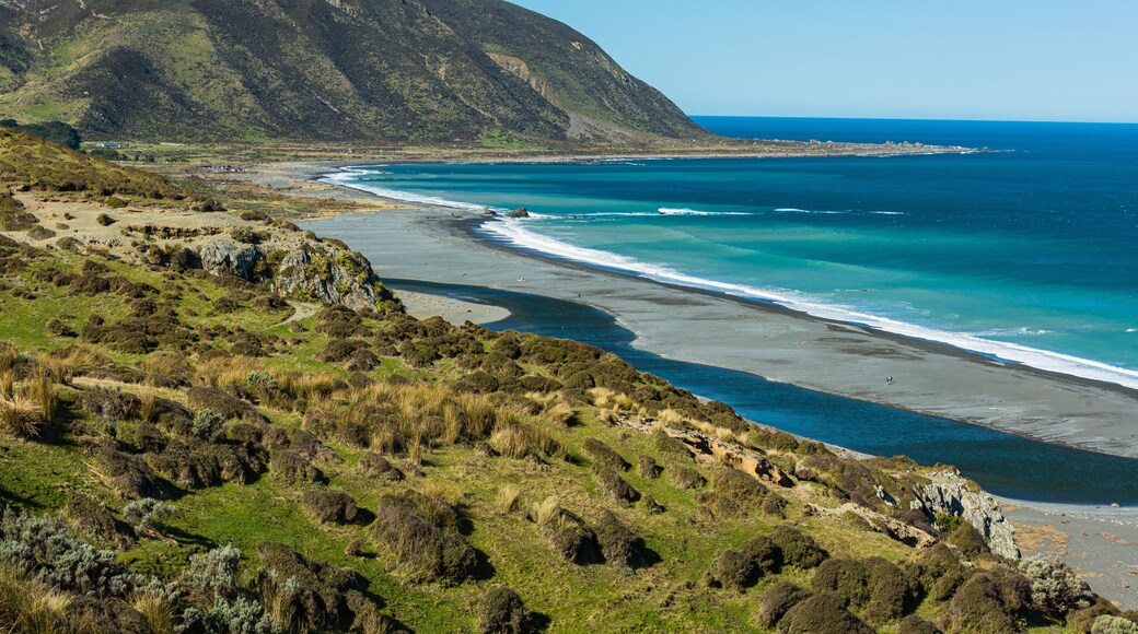 ニュージーランド 首都ウェリントンの近郊のワイヌイオマタのイースト・ハーバー・リージョナル・パークの丘から見えるビーチとクック海峡