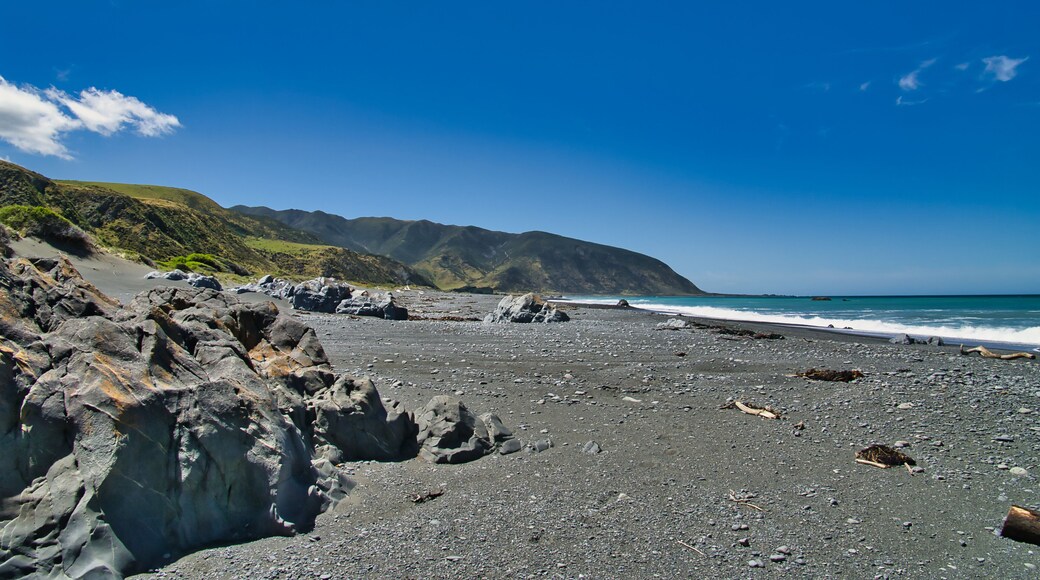 The black sand beach at the mouth of the Wainuiomata River, Baring Head, East Harbour Regional Park, Greater Wellington, New Zealand