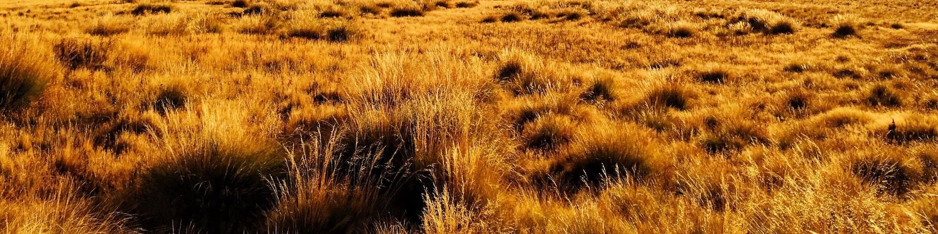 Sunrise over Lindis Pass~~~