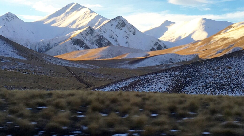 A beauty worth a thousand word