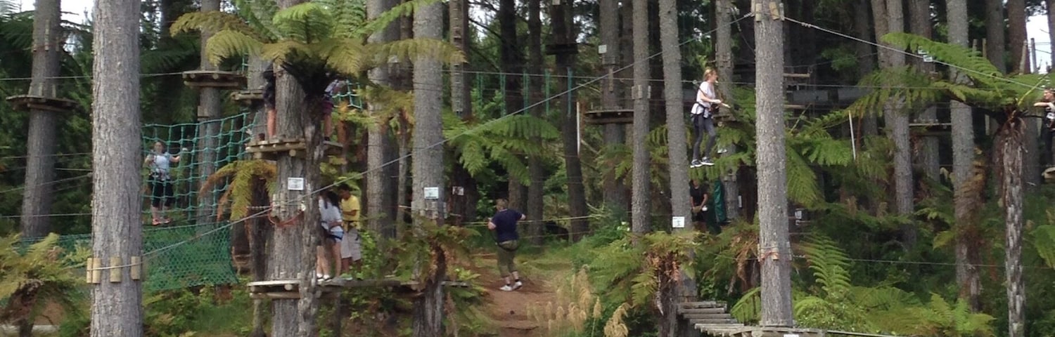 Such a great workout and full of flying foxes and fun obstacles