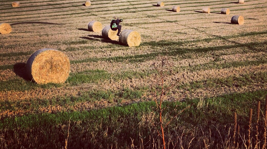 Kiting a Paraglider up the Crown Range, Queenstown.
#NewZealand #Paragliding #Queenstown #ExtremeAdventures