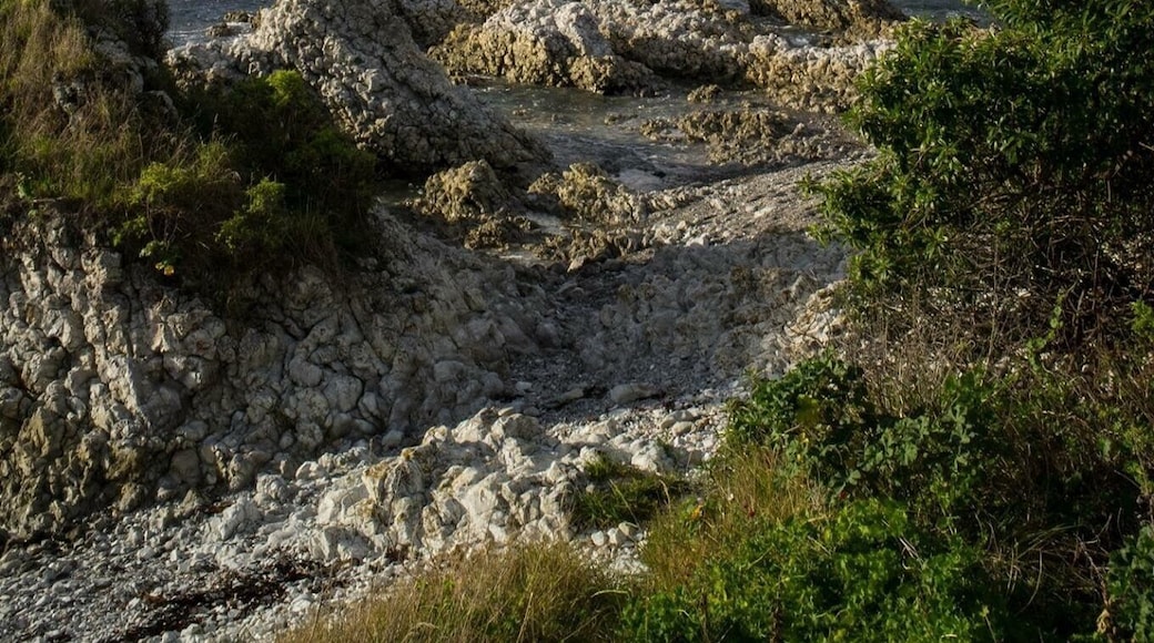 It's a cloudy day in kaikoura ☀️